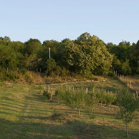Πανσιόν Edenkert Vendeghazak