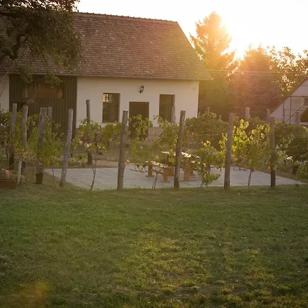 Πανσιόν Edenkert Vendeghazak